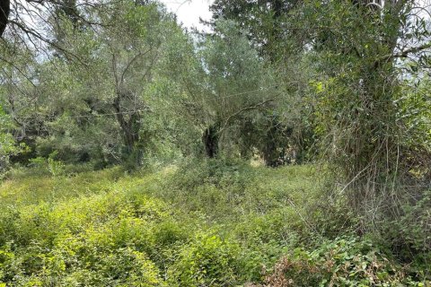 5020m² Land à Corfu, Greece No. 54434 8