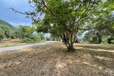 5020m² Land in Corfu, Greece No. 54434 2