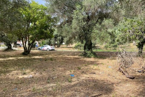 5020m² Land en Corfu, Greece No. 54434 5