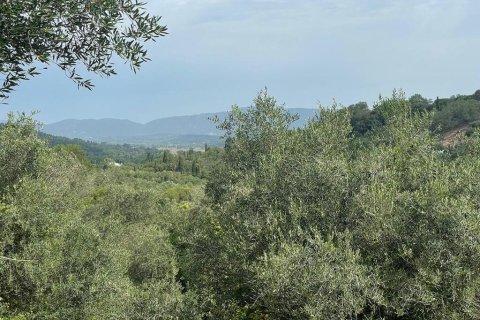 5020m² Land in Corfu, Greece No. 54434 6