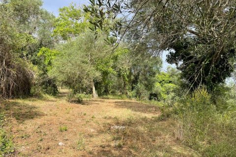 5020m² Land in Corfu, Greece No. 54434 10