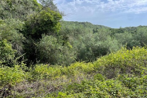 5020m² Land en Corfu, Greece No. 54434 4