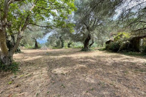 5020m² Land en Corfu, Greece No. 54434 3