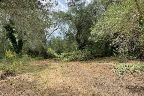 5020m² Land in Corfu, Greece No. 54434 7