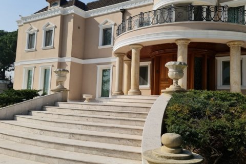 8+2 Villa en Istanbul, Turkey No. 14996 3