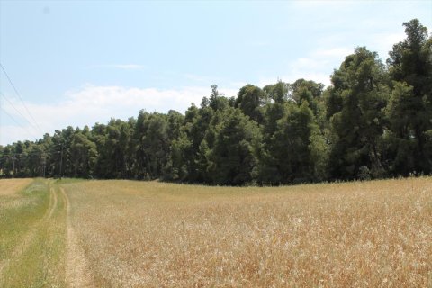 4050m² Land in Chalkidiki, Greece No. 60351 3