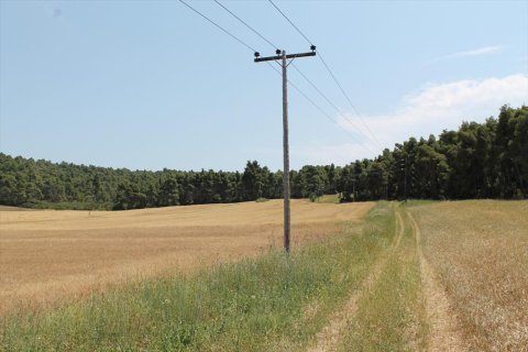 4050m² Land in Chalkidiki, Greece No. 60351 4