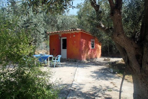 3 dormitorios House en Chalkidiki, Greece No. 60210 23