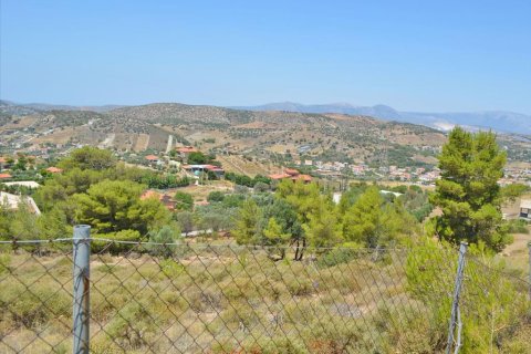 7700m² Land à Kalyvia Thorikou, Greece No. 60209 1