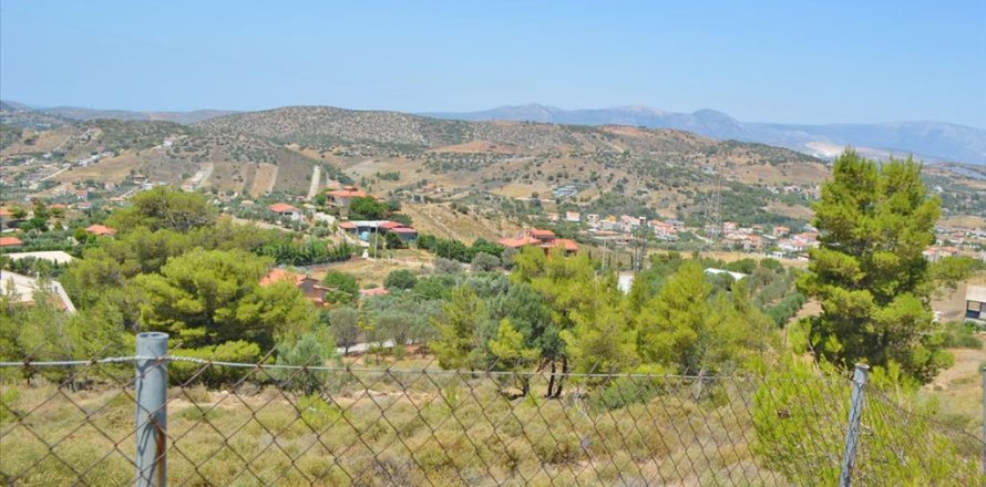 7700m² Land à Kalyvia Thorikou, Greece No. 60209