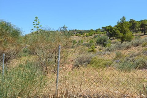 7700m² Land à Kalyvia Thorikou, Greece No. 60209 4