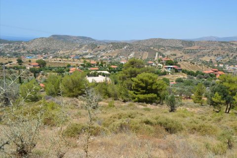 7700m² Land à Kalyvia Thorikou, Greece No. 60209 8