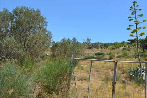 7700m² Land in Kalyvia Thorikou, Greece No. 60209 2