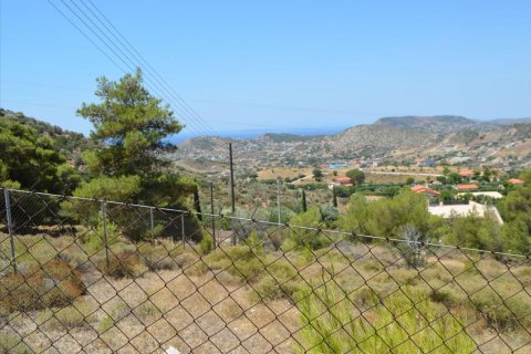 7700m² Land en Kalyvia Thorikou, Greece No. 60209 9