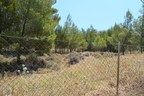 7700m² Land à Kalyvia Thorikou, Greece No. 60209 5