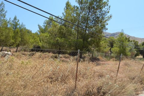 7700m² Land à Kalyvia Thorikou, Greece No. 60209 6