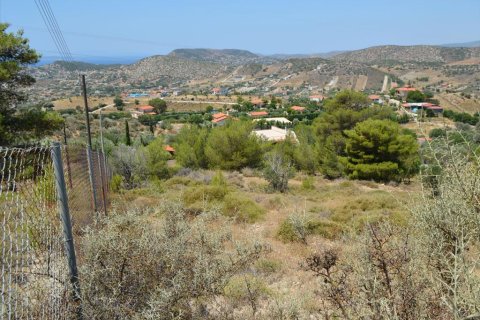 7700m² Land in Kalyvia Thorikou, Greece No. 60209 7