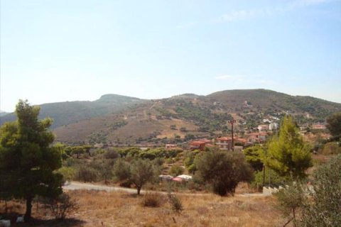 25000m² Land in Keratea, Greece No. 60215 1