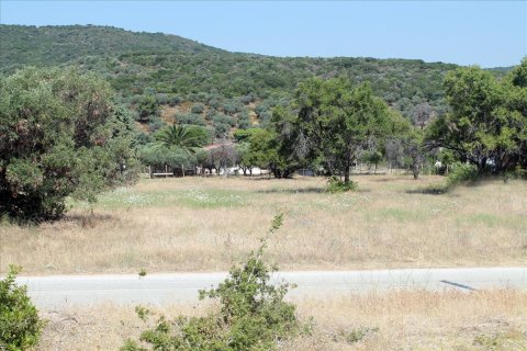 2700m² Land en Chalkidiki, Greece No. 60213 2