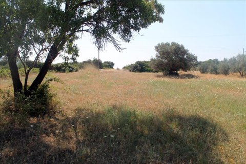 2700m² Land en Chalkidiki, Greece No. 60213 7