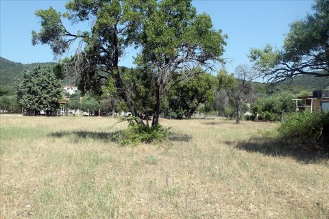 2700m² Land in Chalkidiki, Greece No. 60213 3