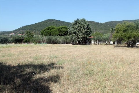 2700m² Land in Chalkidiki, Greece No. 60213 5