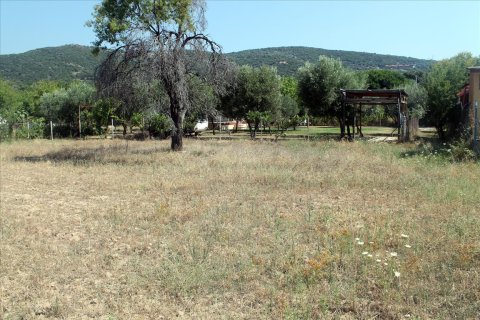 2700m² Land in Chalkidiki, Greece No. 60213 8