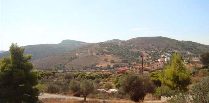 9780m² Land in Kalyvia Thorikou, Greece No. 60214