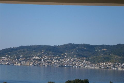 4 bedrooms Villa in Argolis, Greece No. 60056 11