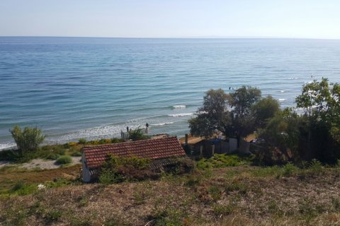 24000m² Land en Zakynthos, Greece No. 59037 8