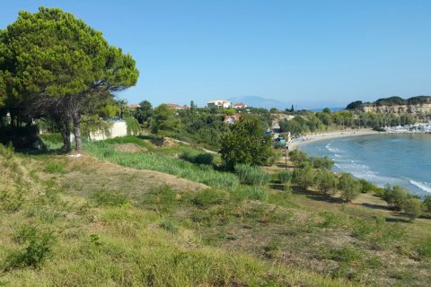 24000m² Land in Zakynthos, Greece No. 59037 2