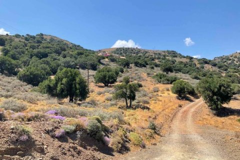 32680m² Land en Heraklion, Greece No. 55962 8