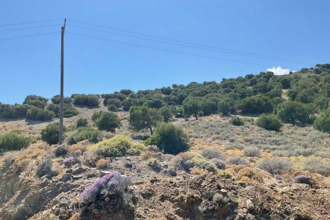 32680m² Land in Heraklion, Greece No. 55962 4