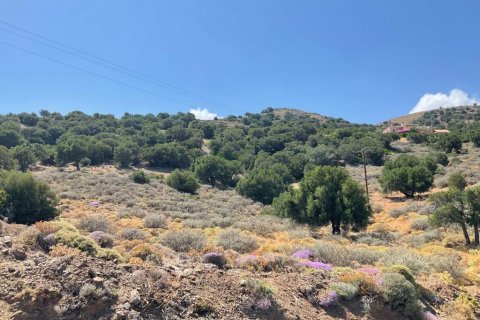 32680m² Land in Heraklion, Greece No. 55962 3