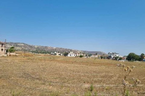 11372m² Land à Psevdas, Cyprus No. 35980 2