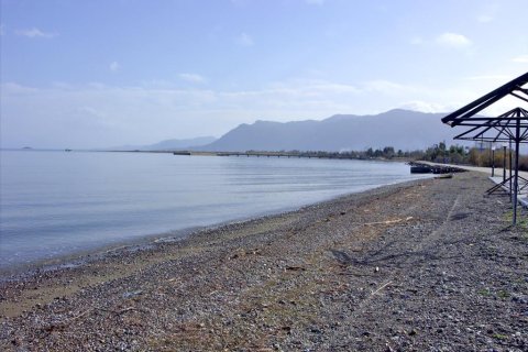 14756m² Land en Phthiotis, Greece No. 59951 5