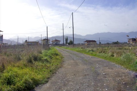 14756m² Land en Phthiotis, Greece No. 59951 3