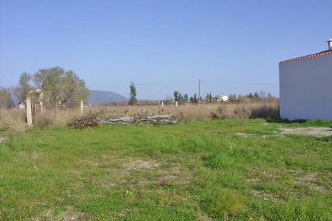 14756m² Land à Phthiotis, Greece No. 59951 4