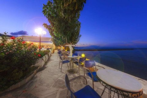 56 dormitorios Hotel en Zakynthos, Greece No. 24792 17