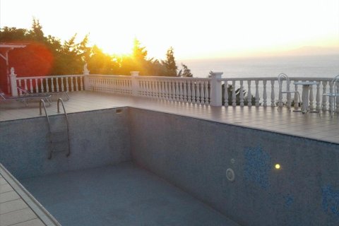 9 bedrooms Villa in Argalasti, Greece No. 58466 4