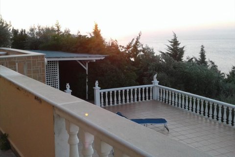 9 bedrooms Villa in Argalasti, Greece No. 58466 6