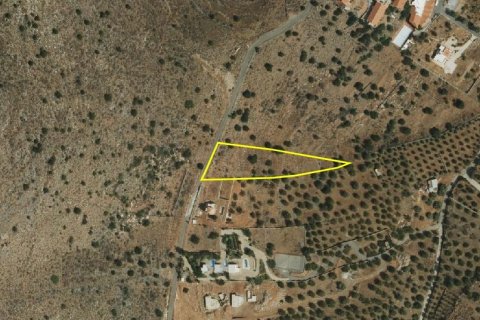 4050m² Land à Agios Nikolaos, Greece No. 58468 7