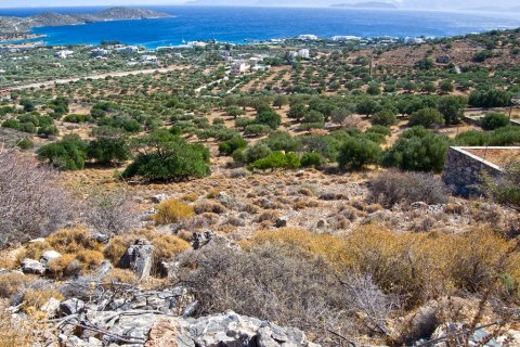 4050m² Land à Agios Nikolaos, Greece No. 58468 6