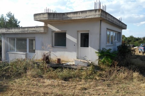 1200m² Bâtiment à Lagkadas, Greece No. 58138 12