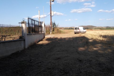 1200m² Building in Lagkadas, Greece No. 58138 11