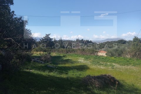 2 dormitorios Villa en Crete, Greece No. 24418 27