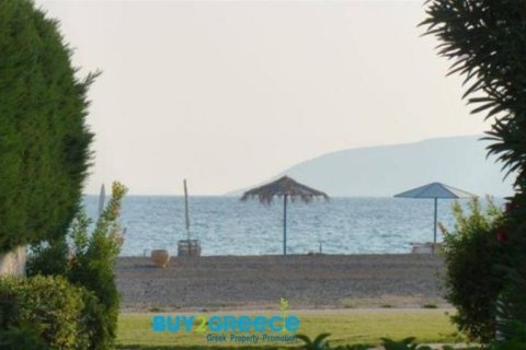 4 bedrooms Villa in Argolis, Greece No. 24805 12