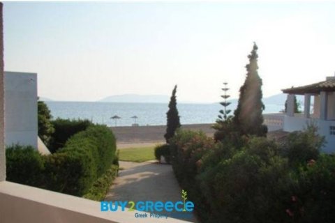 4 bedrooms Villa in Argolis, Greece No. 24805 14