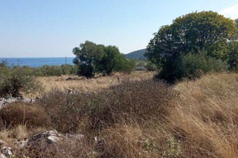 Land en Zakynthos, Greece No. 24621 5