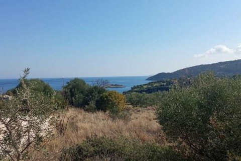 Land in Zakynthos, Greece No. 24621 9